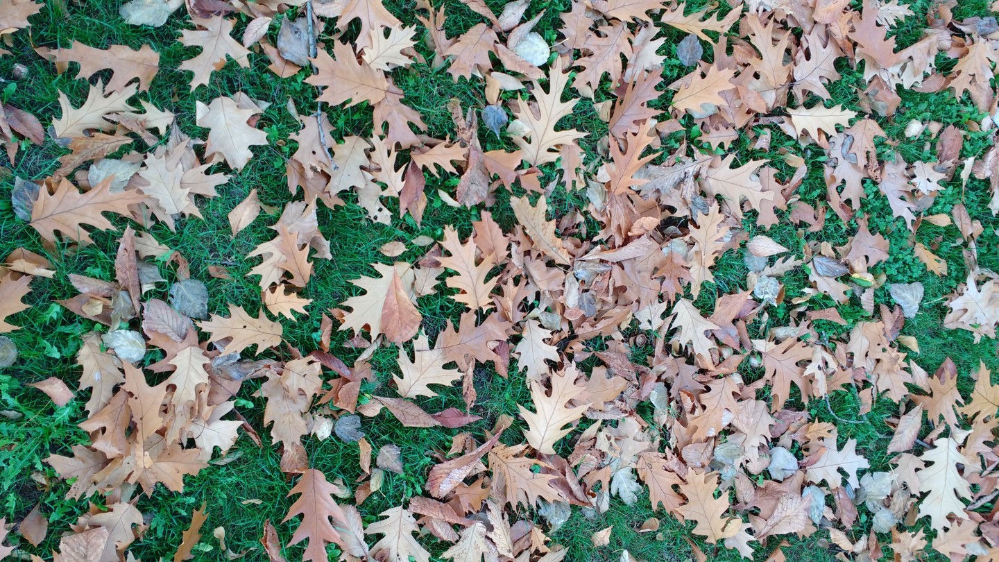 IMG_20171015_112349706